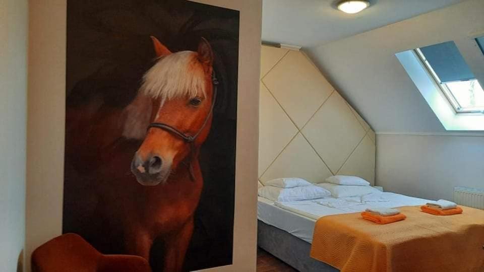 Caballus Lovasmajor Panzio Nyíregyháza Exteriör bild