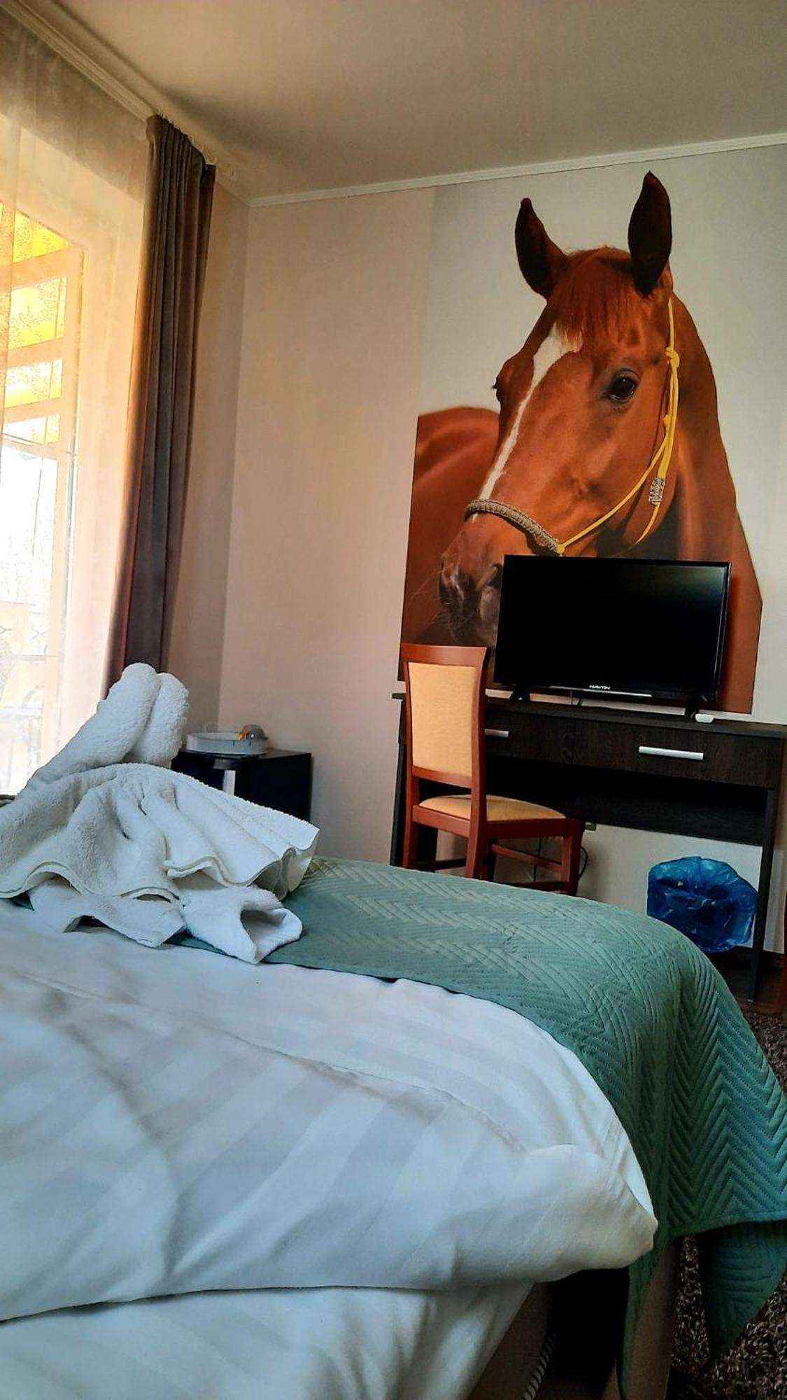 Caballus Lovasmajor Panzio Nyíregyháza Exteriör bild